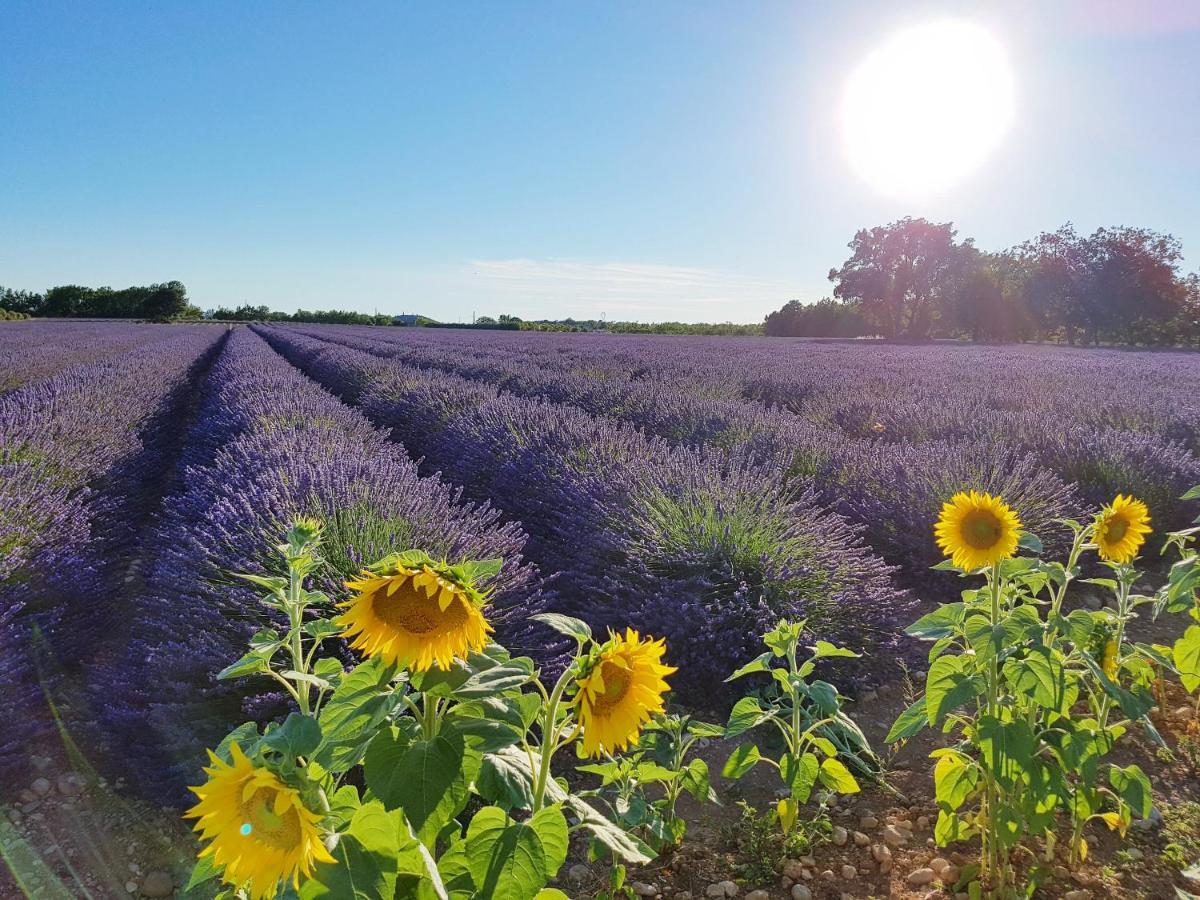 Villa Lavanda Trans-en-Provence Dış mekan fotoğraf